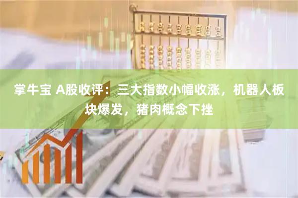 掌牛宝 A股收评：三大指数小幅收涨，机器人板块爆发，猪肉概念下挫