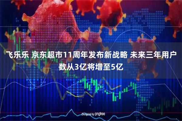 飞乐乐 京东超市11周年发布新战略 未来三年用户数从3亿将增至5亿
