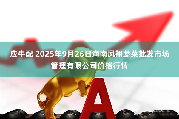 应牛配 2025年9月26日海南凤翔蔬菜批发市场管理有限公司价格行情