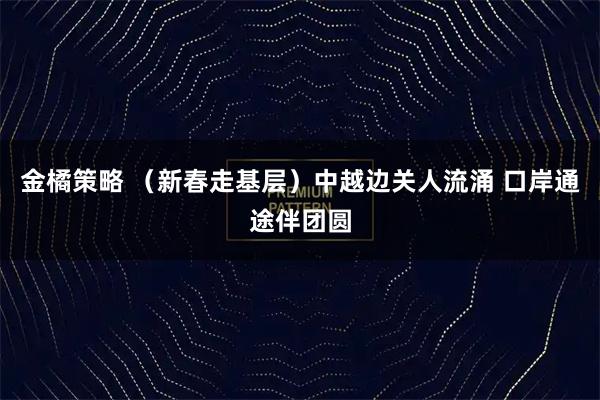 金橘策略 （新春走基层）中越边关人流涌 口岸通途伴团圆